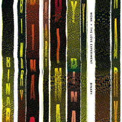 WONK × THE LOVE EXPERIMENT / BINARY – SWEET SOUL RECORDS OFFICIAL SHOP